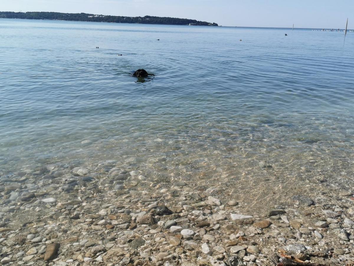 Lora Deluxe Superior 5 Star Apartment, Your Piece Of Heaven By The Sea & Park With Sea & Park View Novigrad Istria Εξωτερικό φωτογραφία