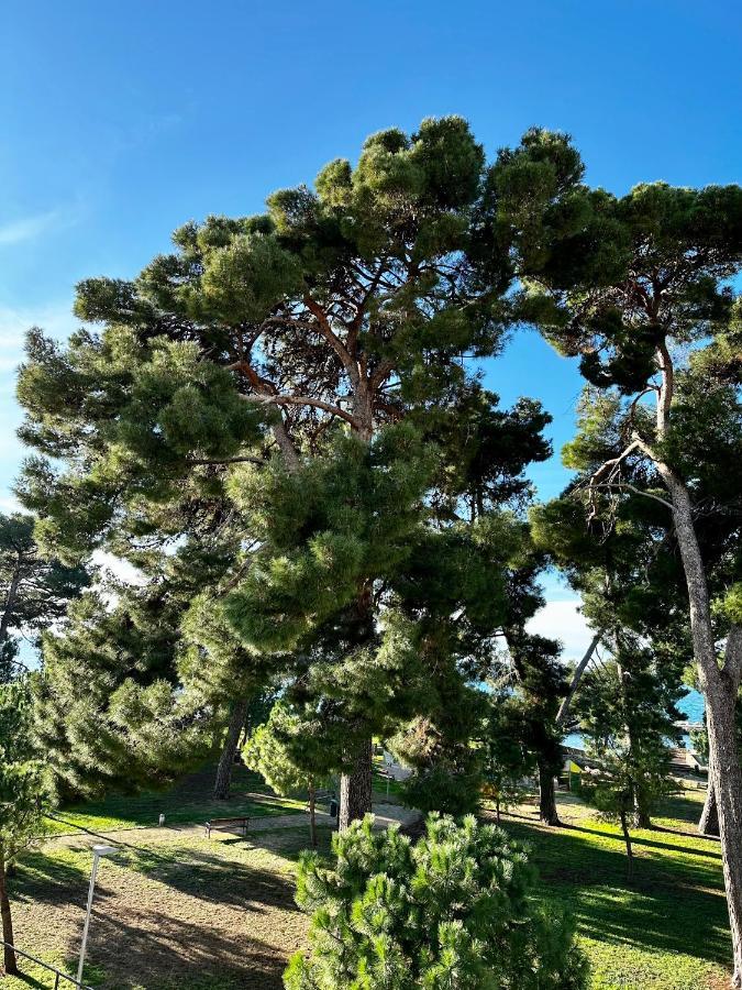 Lora Deluxe Superior 5 Star Apartment, Your Piece Of Heaven By The Sea & Park With Sea & Park View Novigrad Istria Εξωτερικό φωτογραφία